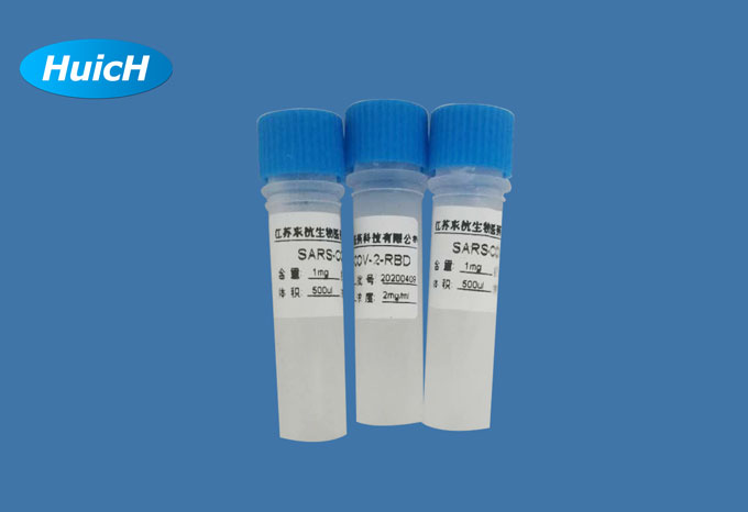 重组人白介素rhIL-12,Recombinant Human interleukin IL12