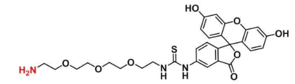 荧光素-三聚乙二醇-氨基,5-FITC-PEG3-Amine,Fluorescein-PEG3-Amine