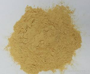 酵母硒,Selenium enriched yeast