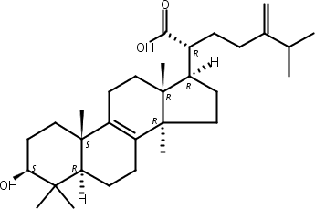 齿孔酸,Eburicoic acid