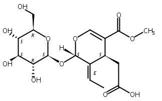 木樨榄苷-11-甲酯,Oleoside 11-methyl ester