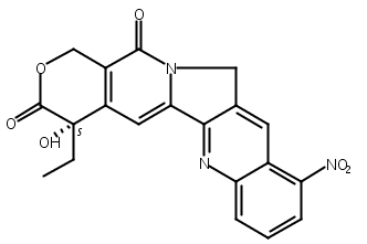 鲁比特康,Rubitecan