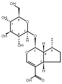 8-表去氧马钱酸,7-Deoxy-8-epi-loganic acid