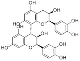 原花青素B2,Procyanidin B2