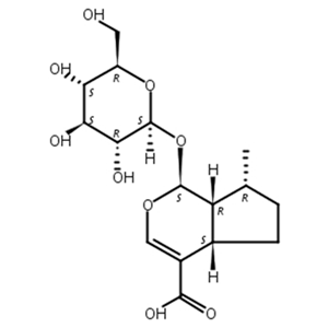 8-表去氧马钱酸,7-Deoxy-8-epi-loganic acid