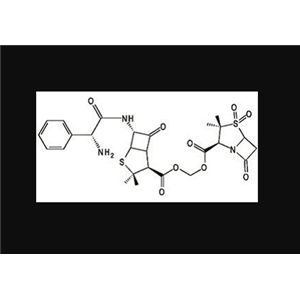 舒他西林碱,Sultamicillin (base)
