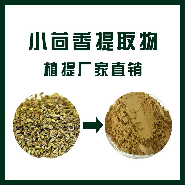 小茴香提取物