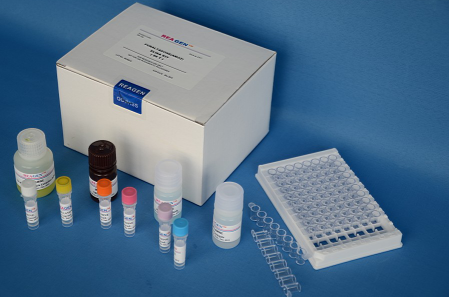 人β干扰素(IFN-β/IFNB)ELISA试剂盒,Human Interferon β, IFN-β/IFNB Elisa Ki