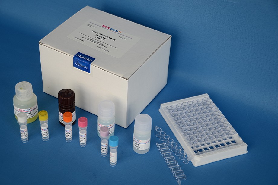 人可溶性CD38(sCD38)ELISA試劑盒,Human Soluble Cluster of differentiation 38, sCD38 Elisa Kit