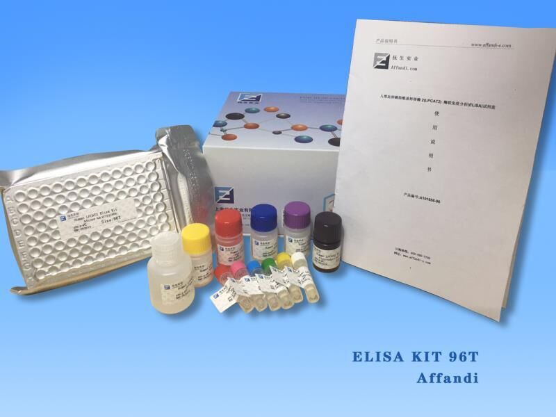 人白三烯D4(LTD4)ELISA试剂盒,Human leukotriene D4, LT-D4 Elisa Kit