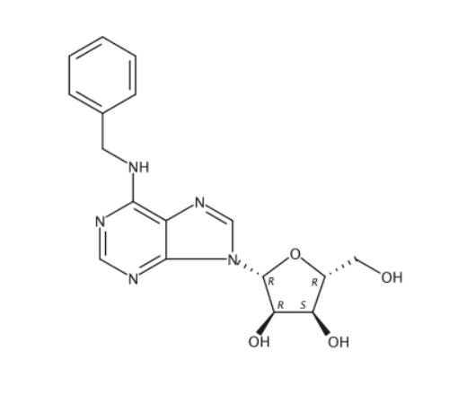 6-苄基腺苷,6-Benzylaminopurine Riboside
