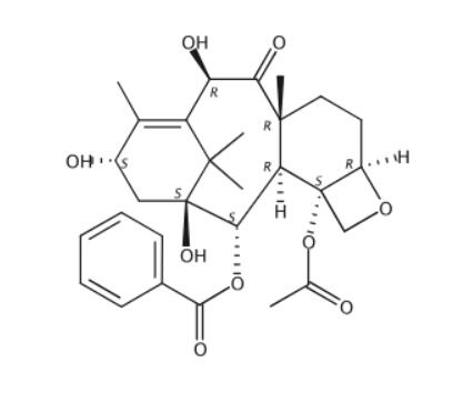 7-脱氧-10-DAB Ⅲ,7-Deoxy-10-DABⅢ