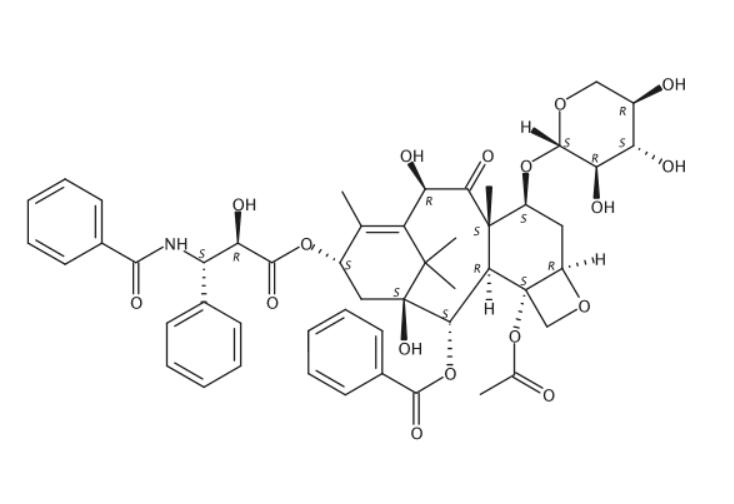 7-木糖甙-10-脫乙?；仙即?7-Xylosyl-10-deacetyltaxol