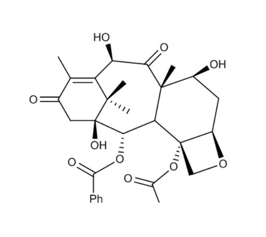 13-氧-10-DABⅢ,N/A