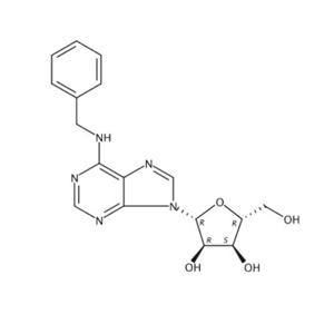 6-苄基腺苷,6-Benzylaminopurine Riboside