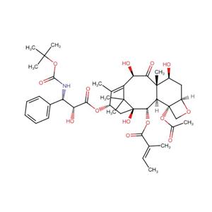 2-异戊烯-多西紫杉醇