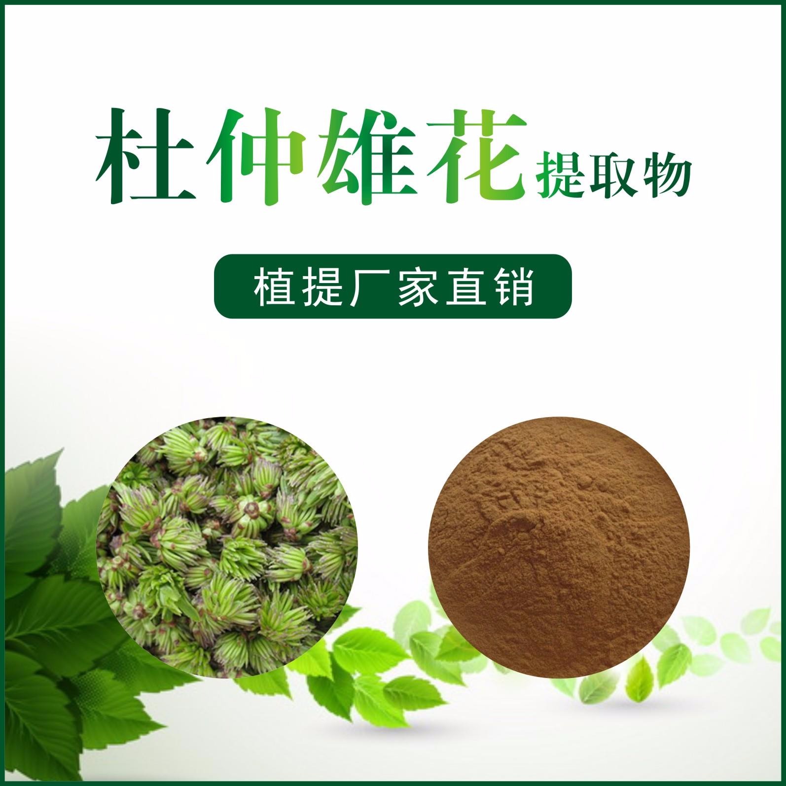 杜仲雄花提取物,Eucommia ulmoides Male Flower Extract