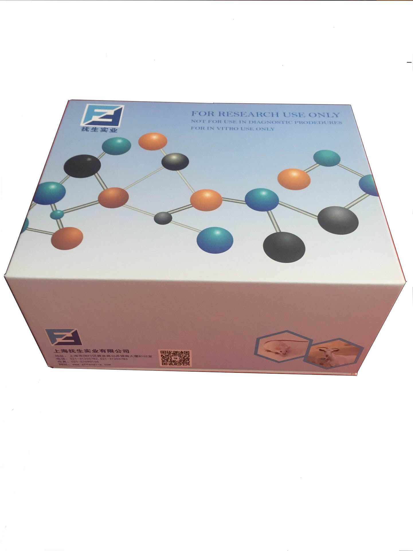 小鼠B细胞活化因子(BAFF/CD257/TNFSF13B)ELISA试剂盒,BAFF/CD257/TNFSF13B
