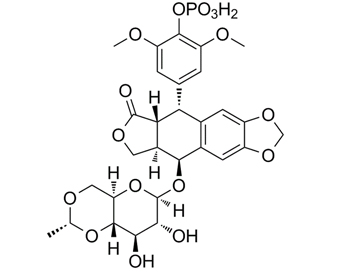 磷酸依托泊苷,Etoposide phosphate