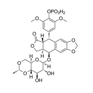 磷酸依托泊苷,Etoposide phosphate
