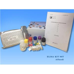 小鼠内皮抑素(ES)ELISA试剂盒