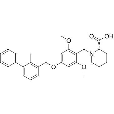 BMS-1