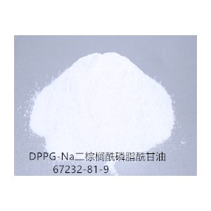二棕榈酰磷脂酰甘油（供注射用）DPPG-Na