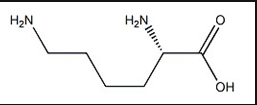 DL-赖氨酸,DL-Lysine