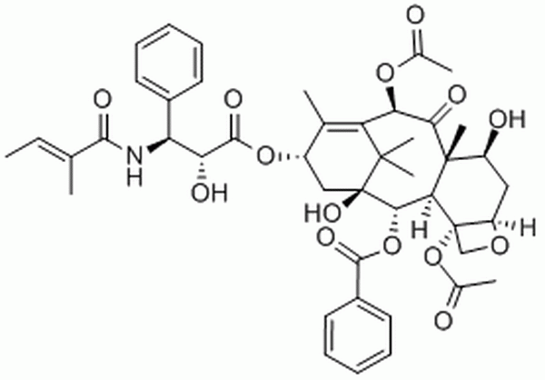 三尖杉宁碱,Cephalomannine