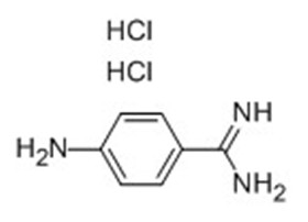 对氨基苯脒盐酸盐；4-氨基苯甲脒二盐酸盐,4-Aminobenzamidindihydrochlorid