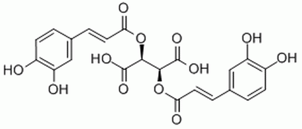 二咖啡酰菊苣酸,Cichoric acid