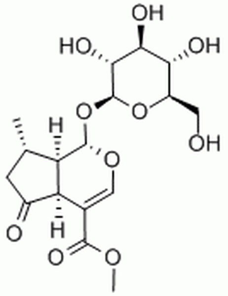 山茱萸苷,Verbenalinp