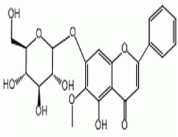 千层纸素A-7-0-β-D-葡萄糖醛酸苷,Oroxyloside