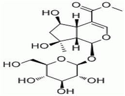 山栀苷甲酯,Shanzhiside methylester