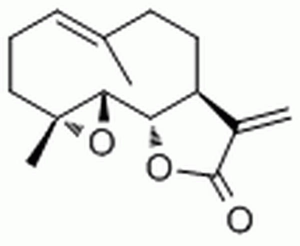 小白菊內(nèi)酯,Parthenolide