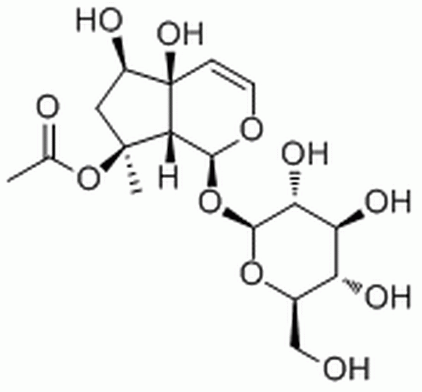 乙酰哈巴苷,8-O-Acetylharpagide