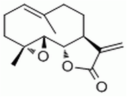 小白菊内酯