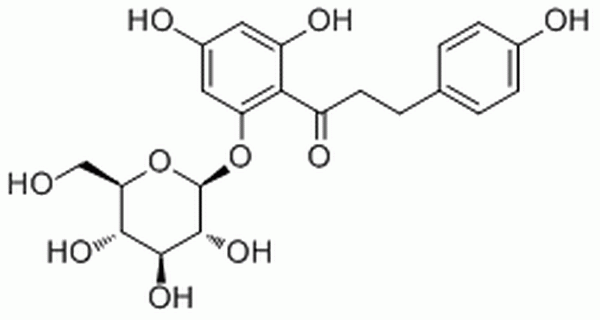 根皮苷,Phlorizin