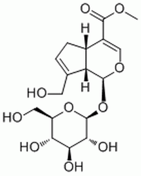 梔子苷,Geniposide