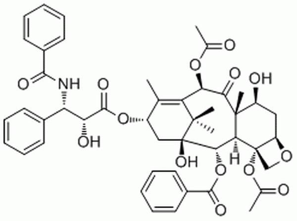 紫杉醇,Paclitaxel