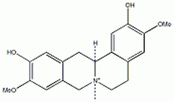 黄柏碱,Phellodendrine