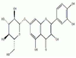 槲皮素-7-O-葡萄糖苷,Quercetin-7-O-β-D-glucopyranoside