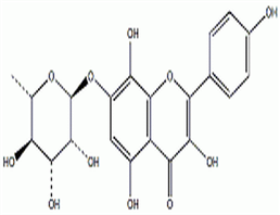 草质素苷,Rhodionin