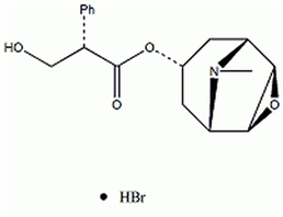 氢溴酸东莨菪碱