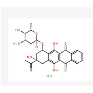 盐酸伊达比星,Idarubicin Hydrochloride