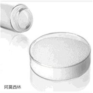 阿莫西林,Amoxicillin