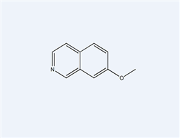 7-甲氧基异喹啉,7-METHOXY-ISOQUINOLINE