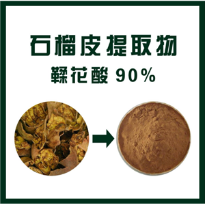 石榴皮提取物 鞣花酸90%