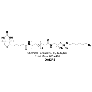 DADPS Biotin Probe