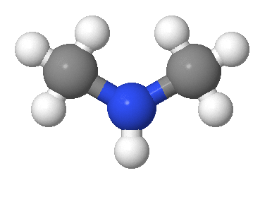 二甲胺,Dimethylamine